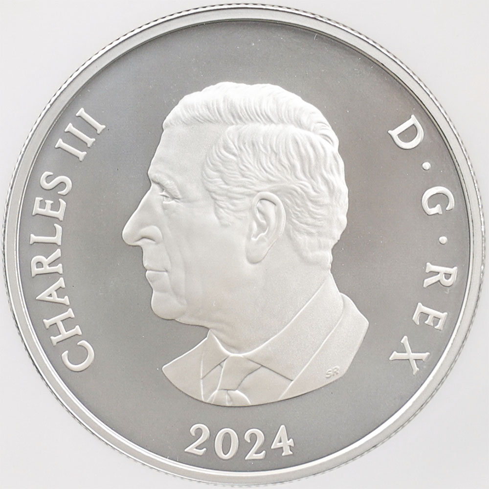 2024 ���ʥ� ���ե�����������ӥ꡼�����Ρ��ե졼�����֥����� 20���ʥ��ɥ� ��� ���顼���ȡ����� ���������å��ž夲 ��ä��ץ롼�� �ץ롼�եޥå� NGC PF 70 MATTE FR ������ �ǹ���� ����̤������ ��Ȣ��