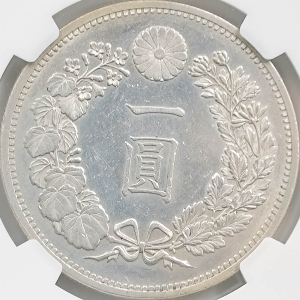 1880 ���� ����13ǯ 1�߶��(�緿)  NGC UNC DETAILS ̤������ ��1�߶�� ������