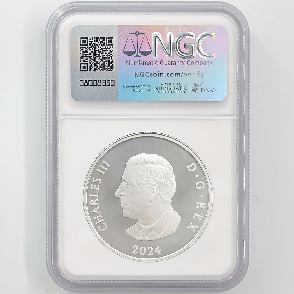 2024 ʥ եӥ꡼Ρե졼֥ 20ʥɥ  顼ȡ åž夲 äץ롼 ץ롼եޥå NGC PF 70 MATTE FR  ǹ ̤ Ȣ