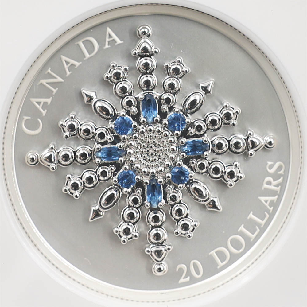 2024 ʥ եӥ꡼Ρե졼֥ 20ʥɥ  顼ȡ åž夲 äץ롼 ץ롼եޥå NGC PF 70 MATTE FR  ǹ ̤ Ȣ