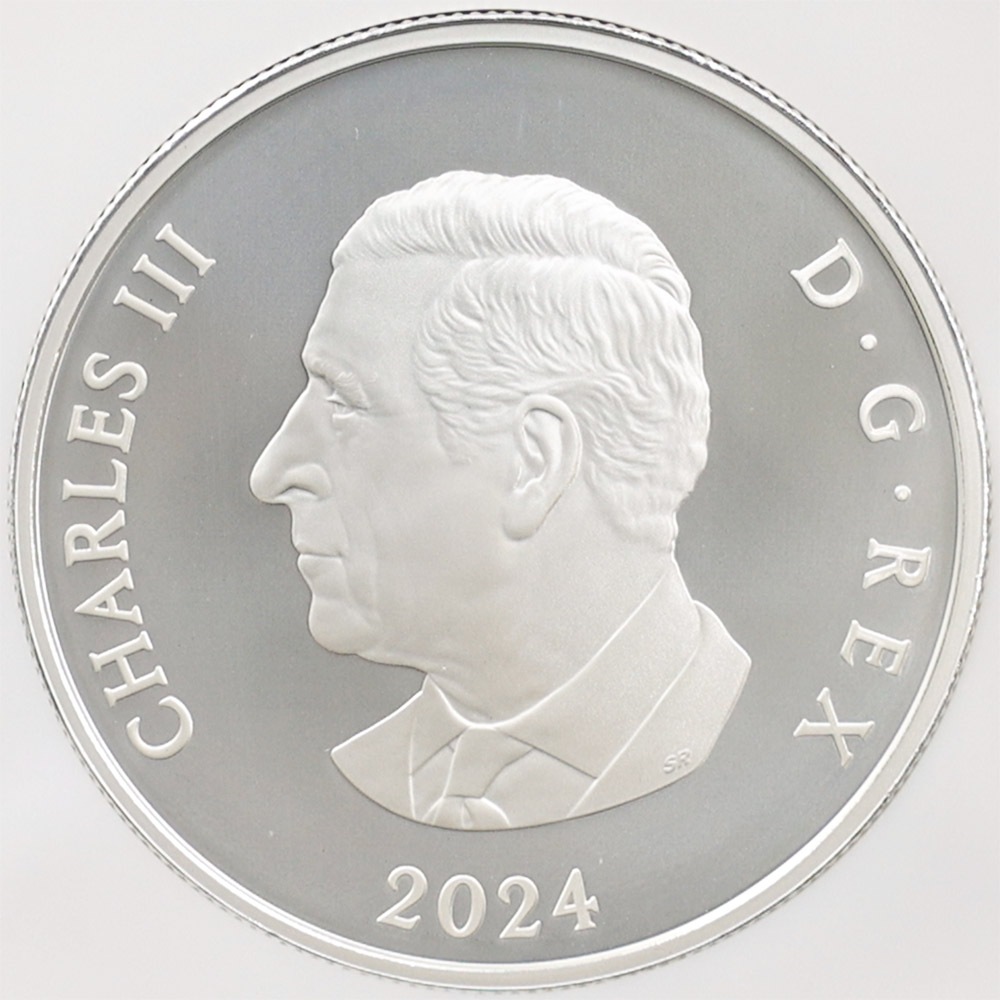 2024 ʥ եӥ꡼Ρե졼֥ 20ʥɥ  顼ȡ åž夲 äץ롼 ץ롼եޥå NGC PF 70 MATTE FR  ǹ ̤ Ȣ