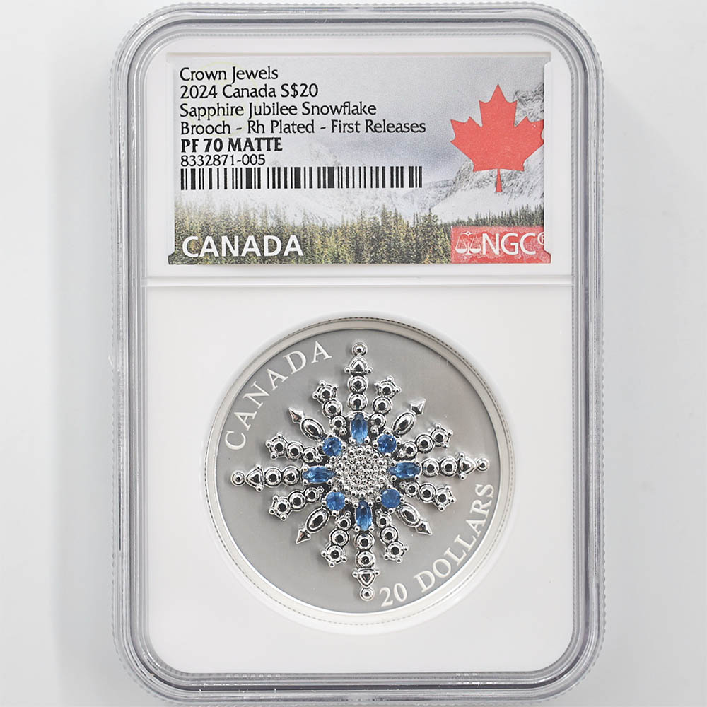 2024 ���ʥ� ���ե�����������ӥ꡼�����Ρ��ե졼�����֥����� 20���ʥ��ɥ� ��� ���顼���ȡ����� ���������å��ž夲 ��ä��ץ롼�� �ץ롼�եޥå� NGC PF 70 MATTE FR ������ �ǹ���� ����̤������ ��Ȣ��