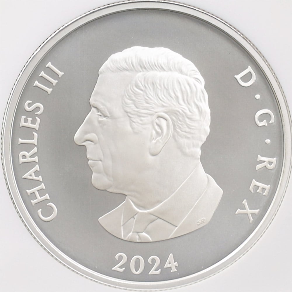 2024 ���ʥ� ���ե�����������ӥ꡼�����Ρ��ե졼�����֥����� 20���ʥ��ɥ� ��� ���顼���ȡ����� ���������å��ž夲 ��ä��ץ롼�� �ץ롼�եޥå� NGC PF 70 MATTE FR ������ �ǹ���� ����̤������ ��Ȣ��