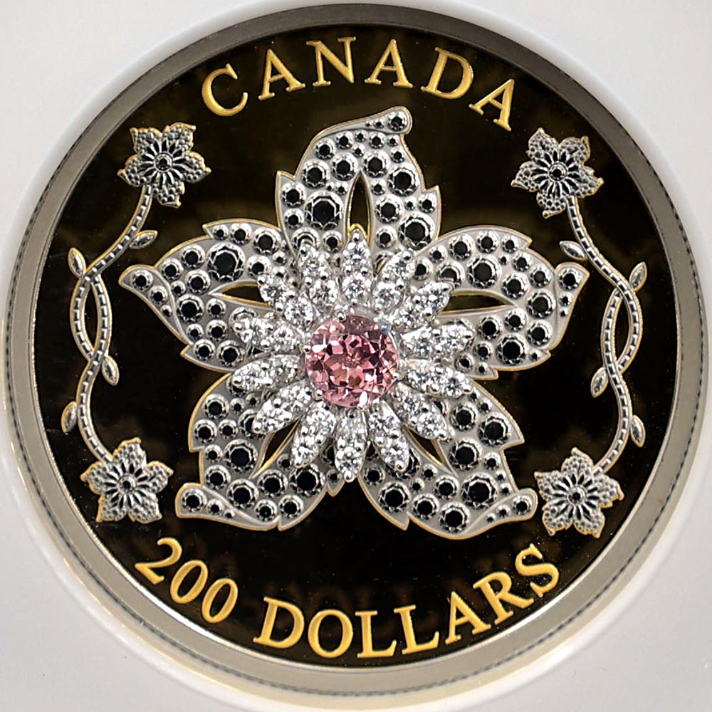 2025 ʥ ꥢॽ  ֥ 200ʥɥ  ץ롼 NGC PF 70 UC FODI  ʽ ǹ ̤ Ȣ