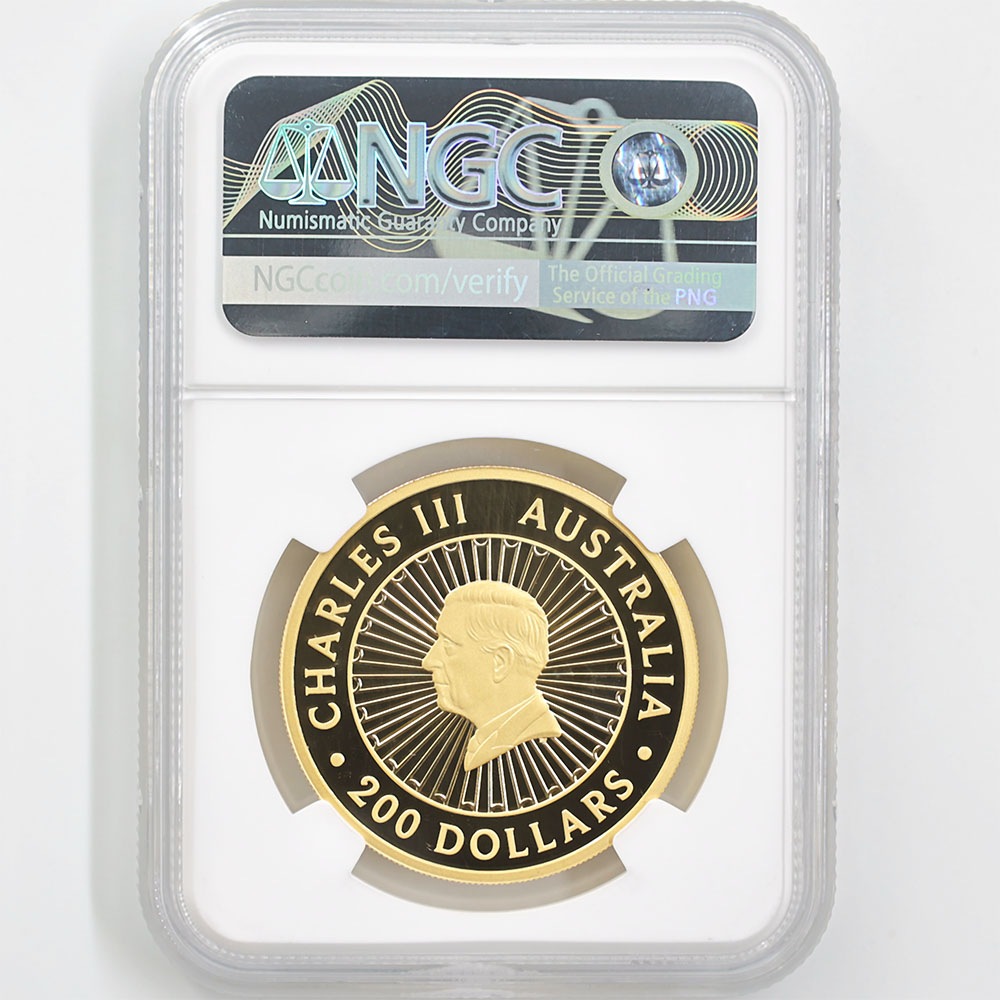 ���ָ������̲��� 2025 �������ȥ�ꥢ ���졼�ȡ������󡦥��� 200��ɥ� ��� 2���� �֥롼��ԥɥ饤���Ȥ���� �ץ롼�� NGC PF 70 UC FDOI ������ �ʽ�������� �ǹ���� ����̤������ ��Ȣ��