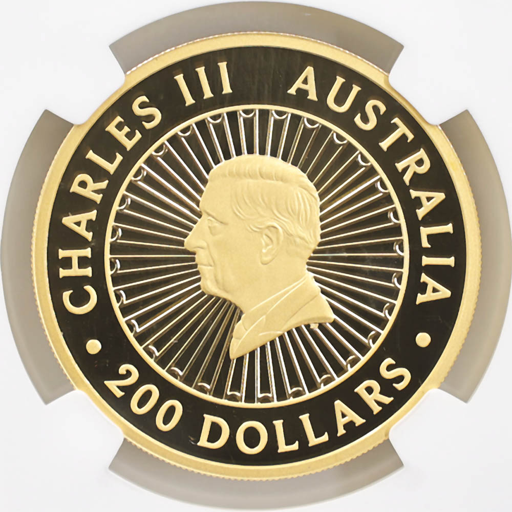 ���ָ������̲��� 2025 �������ȥ�ꥢ ���졼�ȡ������󡦥��� 200��ɥ� ��� 2���� �֥롼��ԥɥ饤���Ȥ���� �ץ롼�� NGC PF 70 UC FDOI ������ �ʽ�������� �ǹ���� ����̤������ ��Ȣ��