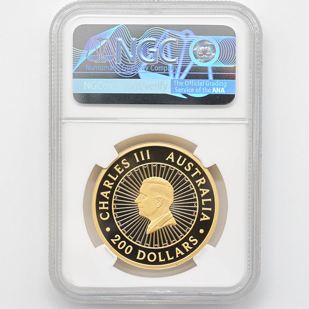 ���ָ������̲��� 2025 �������ȥ�ꥢ ���졼�ȡ������󡦥��� 200��ɥ� ��� 2���� �֥롼��ԥɥ饤���Ȥ���� �ץ롼�� NGC PF 70 UC FDOI ������ �ʽ�������� �ǹ���� ����̤������ ��Ȣ��