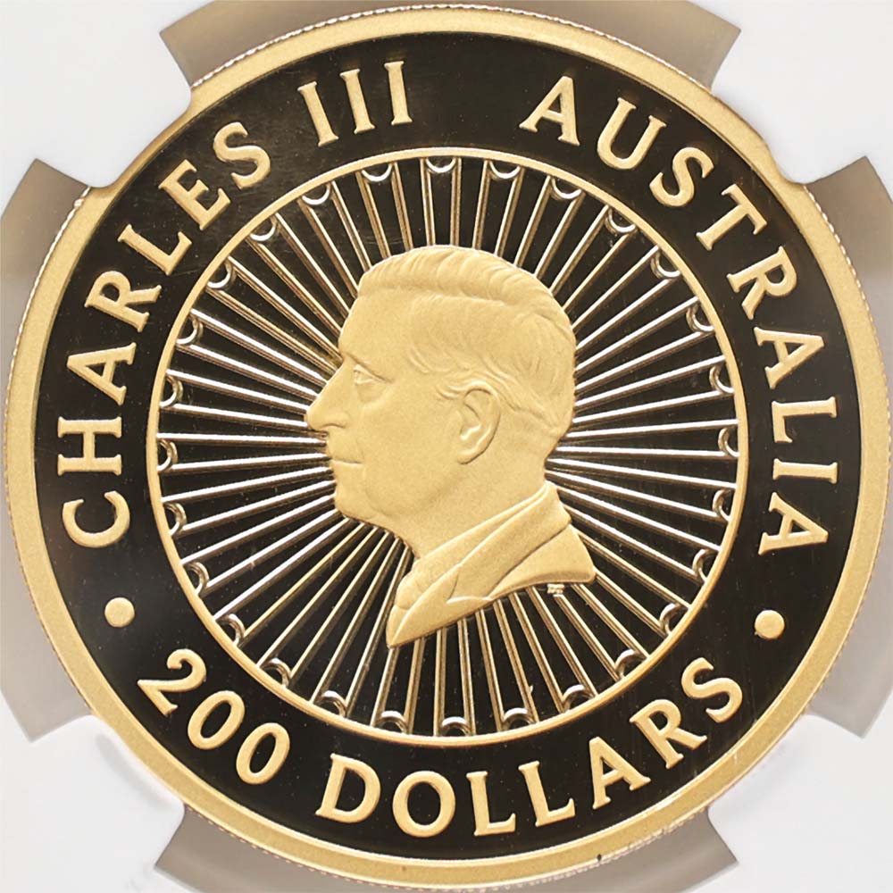 ���ָ������̲��� 2025 �������ȥ�ꥢ ���졼�ȡ������󡦥��� 200��ɥ� ��� 2���� �֥롼��ԥɥ饤���Ȥ���� �ץ롼�� NGC PF 70 UC FDOI ������ �ʽ�������� �ǹ���� ����̤������ ��Ȣ��