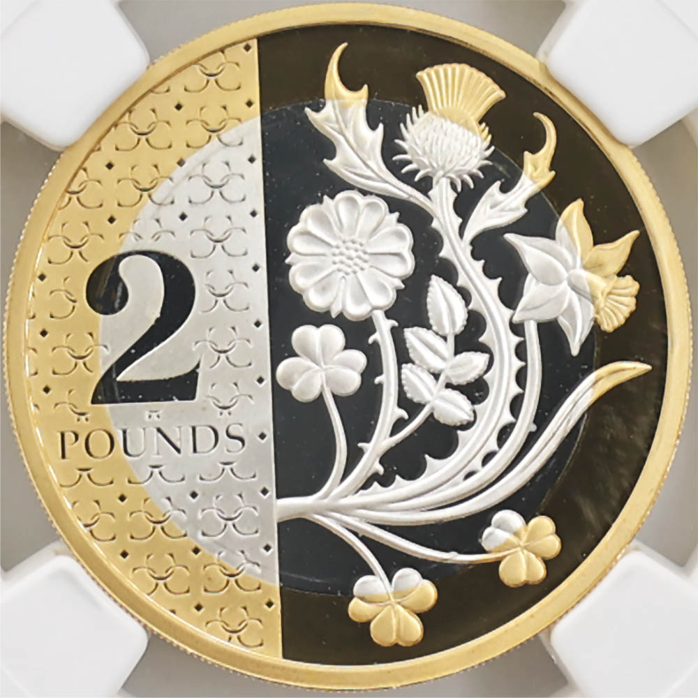 ����� 2024 �ѹ� ���㡼�륺3�� ���� ���å� 2�ݥ�� ��� �ץ롼�� NGC PF 69 UC �ǹ���� ����̤������ ��Ȣ�� �����ꥹ ��� ������1��Τ�