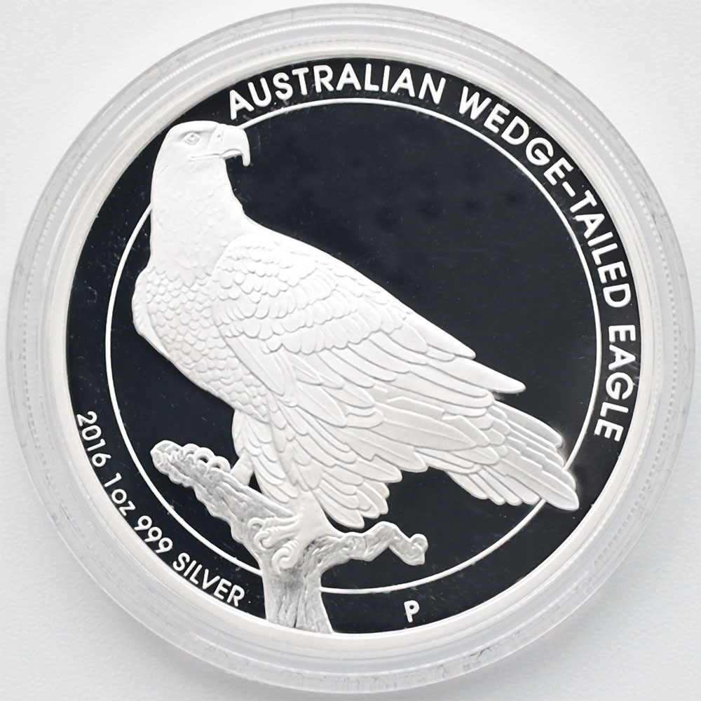 ������ 2016 �������ȥ�ꥢ ���ʥ����̥亮 1��ɥ� ��� 1���� ����̤������ ��Ȣ��