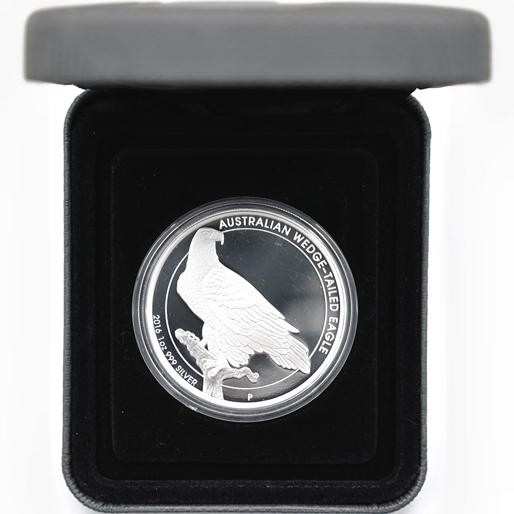 ������ 2016 �������ȥ�ꥢ ���ʥ����̥亮 1��ɥ� ��� 1���� ����̤������ ��Ȣ��