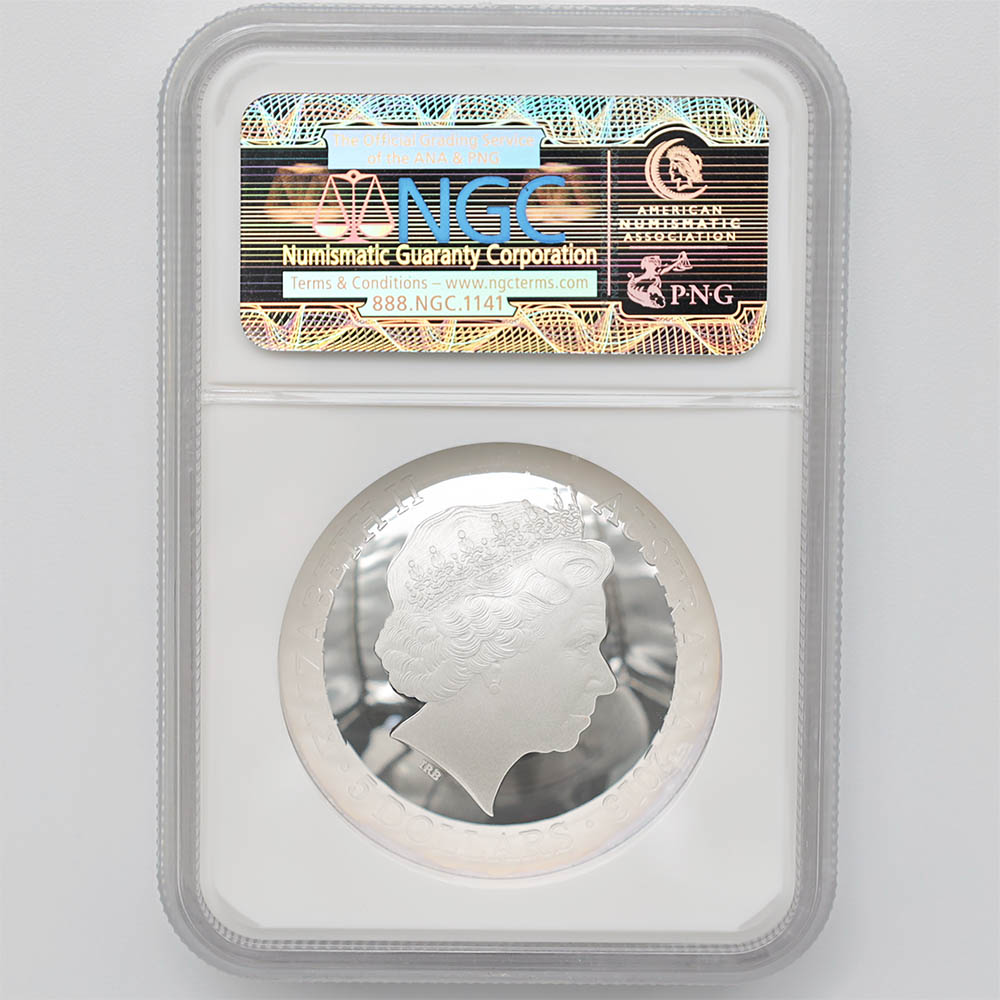 ������ 2013 �������ȥ�ꥢ ��ŷ��ŷ��� �����㤯�� �ɡ��෿ ��� 1���� �ץ롼��  NGC PF 70 UC �ǹ���� ����̤������