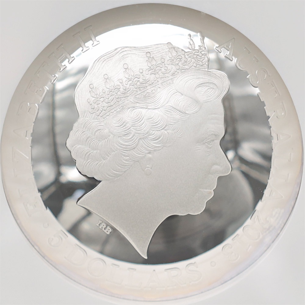 ������ 2013 �������ȥ�ꥢ ��ŷ��ŷ��� �����㤯�� �ɡ��෿ ��� 1���� �ץ롼��  NGC PF 70 UC �ǹ���� ����̤������