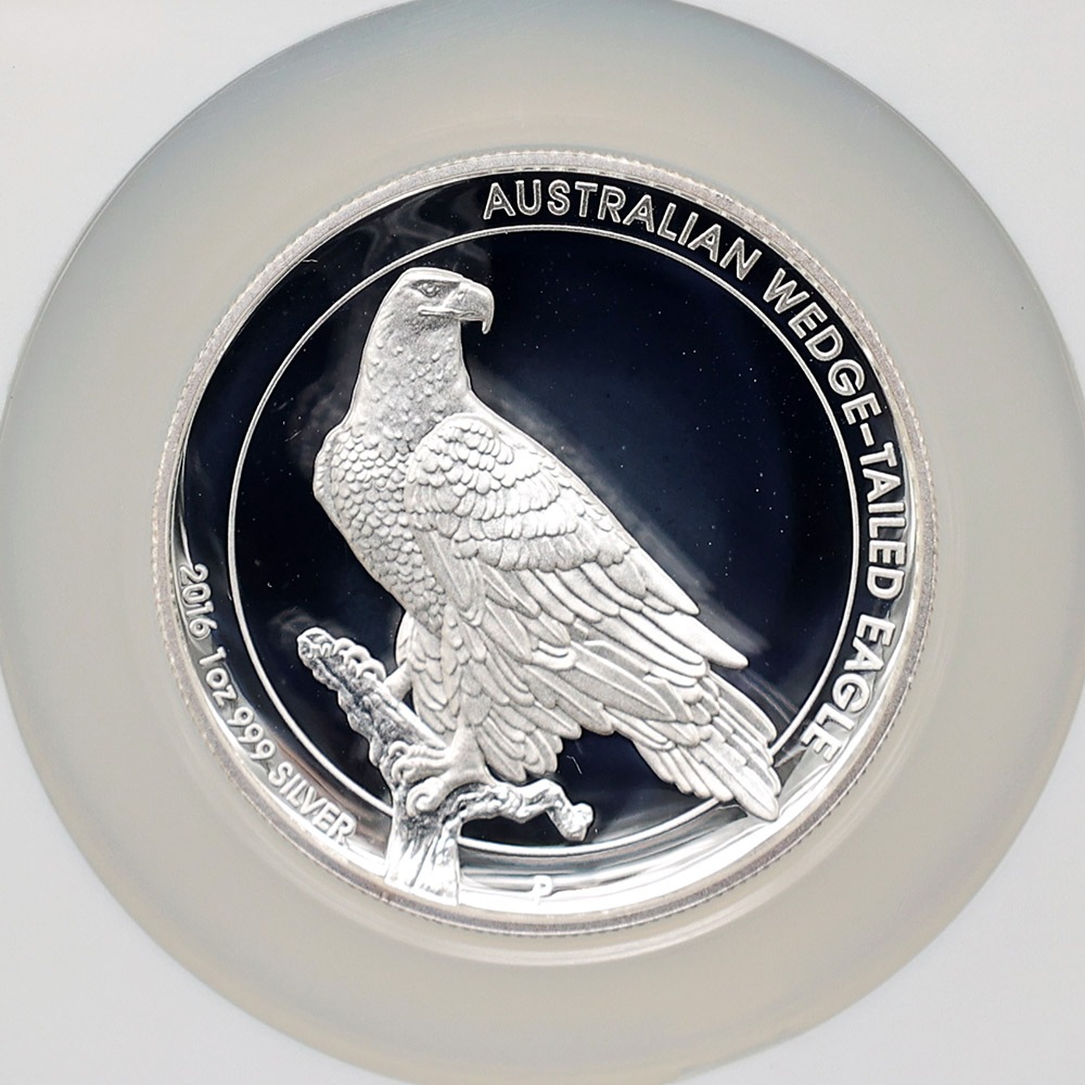 ������ 2016 �������ȥ�ꥢ �ϥ���꡼�� ���ʥ����̥亮 1��ɥ� ��� 1���� �ץ롼�� NGC PF 70 UC �ǹ���� ����̤������ �����å��ơ��륤������ ��Ȣ��