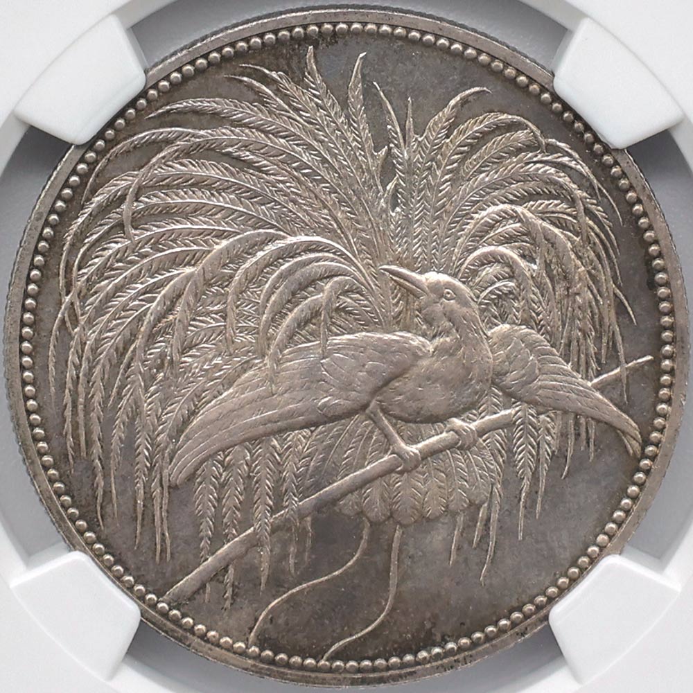 �������� 1894 �ɥ����Υ˥塼���˥� �˳�Ļ 5�ޥ륯 ��� NGC PF 65 ̤���ѡ�����̤������  �ڥݥ���ȡ������ݥ������оݳ���