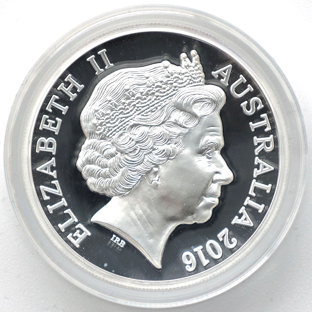 ������ 2016 �������ȥ�ꥢ �ϥ���꡼�� ���ꥨ��� ���ƥ� 5��ɥ� ��� 1���� ����̤������