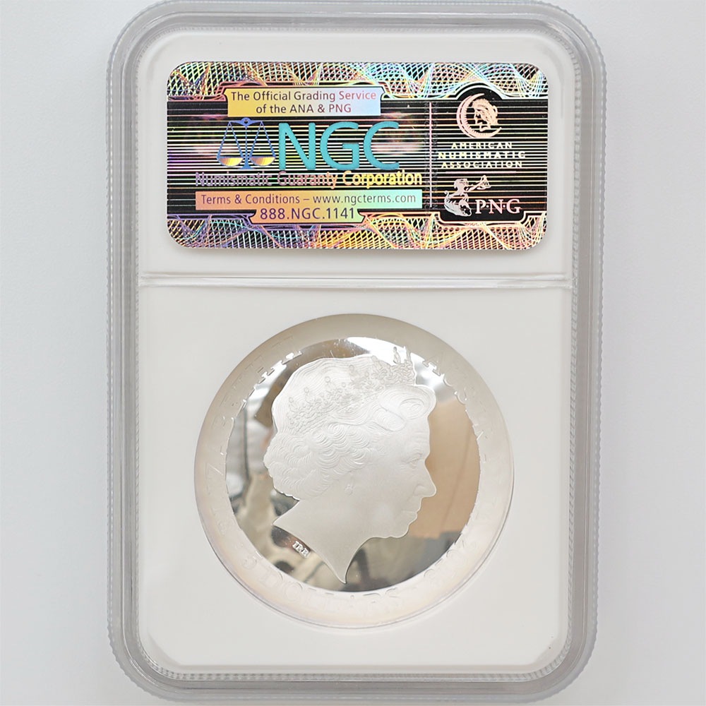 ������ 2013 �������ȥ�ꥢ ��ŷ��ŷ��� �����㤯�� �ɡ��෿ ��� 1���� �ץ롼��  NGC PF 70 UC �ǹ���� ����̤������