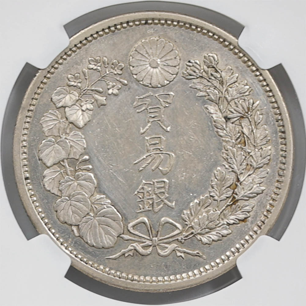 1876 ���� ����8ǯ �ǰ׶�  NGC UNC DETAILS ̤������ ������