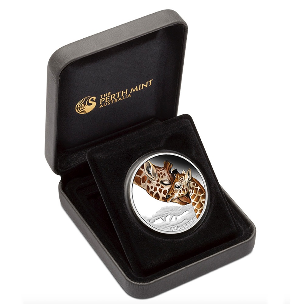 ������ 2014 �ĥХ� ����� ���顼��� 1/2���� ����̤������ ��Ȣ��