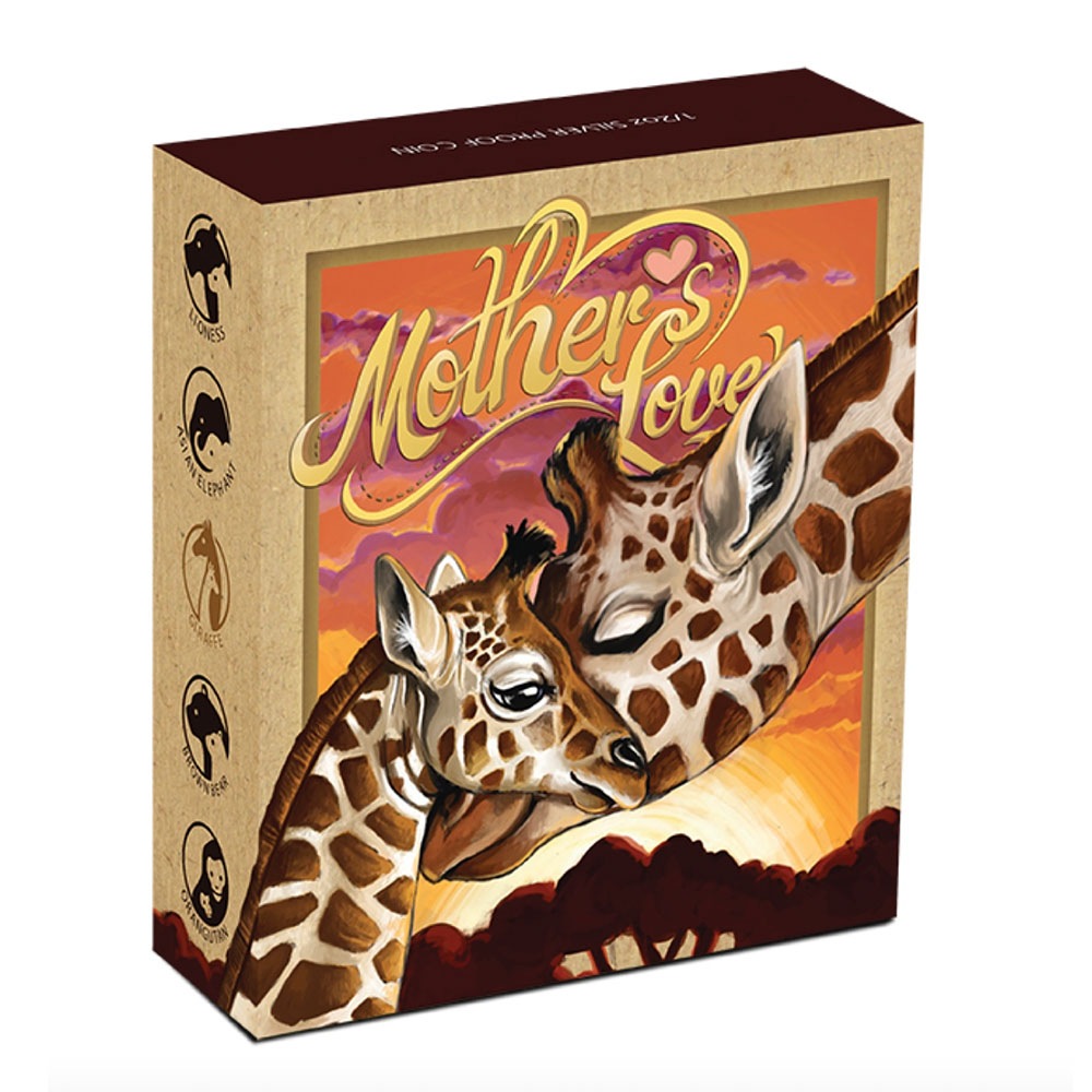 ������ 2014 �ĥХ� ����� ���顼��� 1/2���� ����̤������ ��Ȣ��