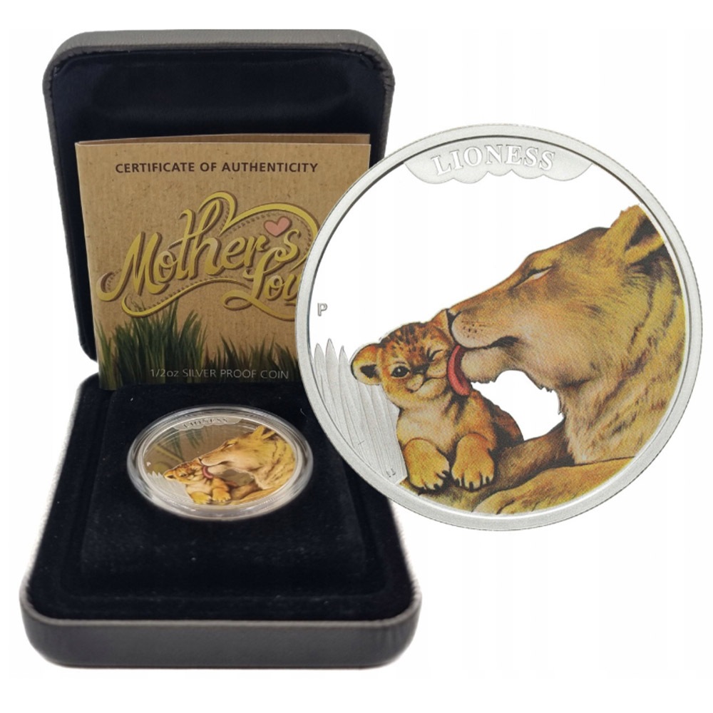 ������ 2014 �ĥХ� �饤���� ���顼��� 1/2���� ����̤������ ��Ȣ��