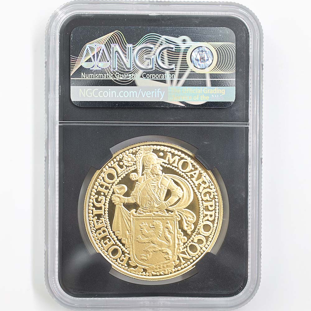  2020  饤顼 ꥹȥ饤  1 ץ롼 NGC PF 70 UC ER  ǹ ̤ ɥޥɡC⥤ ڥݥȡݥоݳ