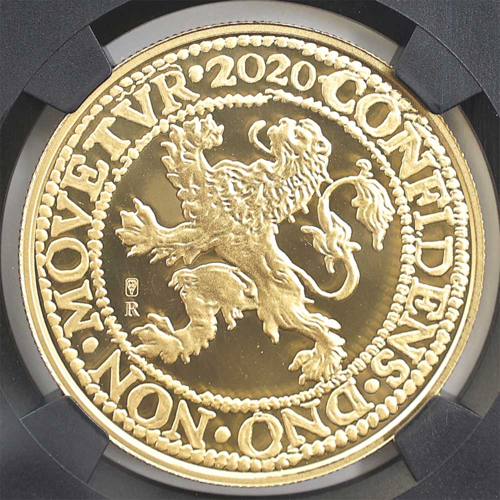  2020  饤顼 ꥹȥ饤  1 ץ롼 NGC PF 70 UC ER  ǹ ̤ ɥޥɡC⥤ ڥݥȡݥоݳ