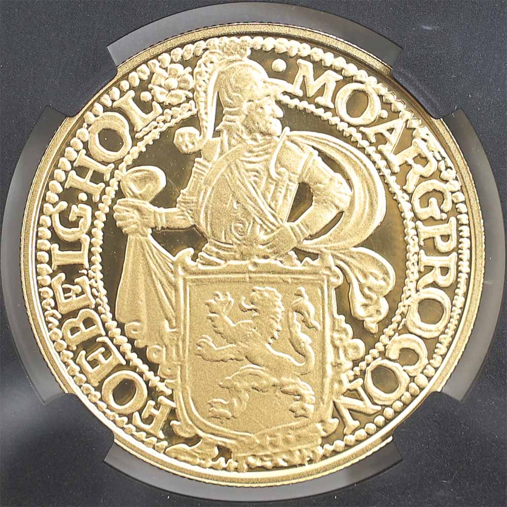  2020  饤顼 ꥹȥ饤  1 ץ롼 NGC PF 70 UC ER  ǹ ̤ ɥޥɡC⥤ ڥݥȡݥоݳ