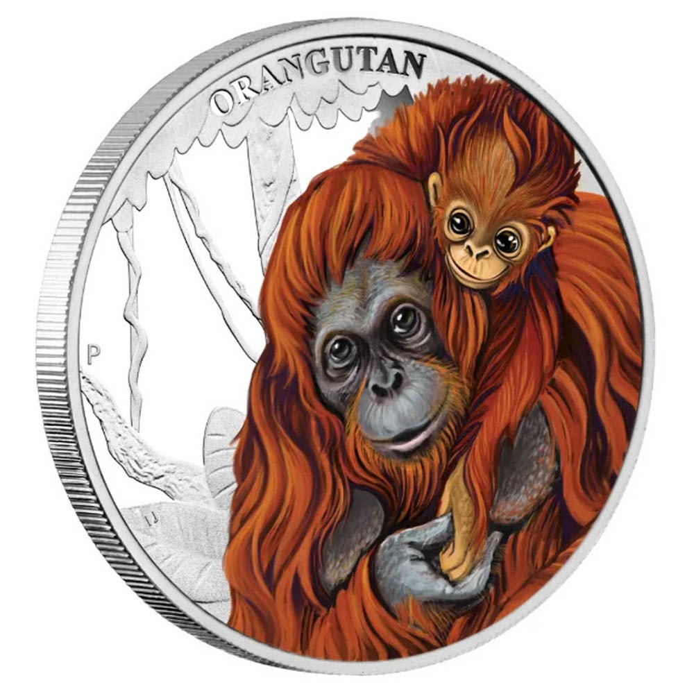 ������ 2014 �ĥХ� ���饦������ ���顼��� 1/2���� ����̤������ ��Ȣ��