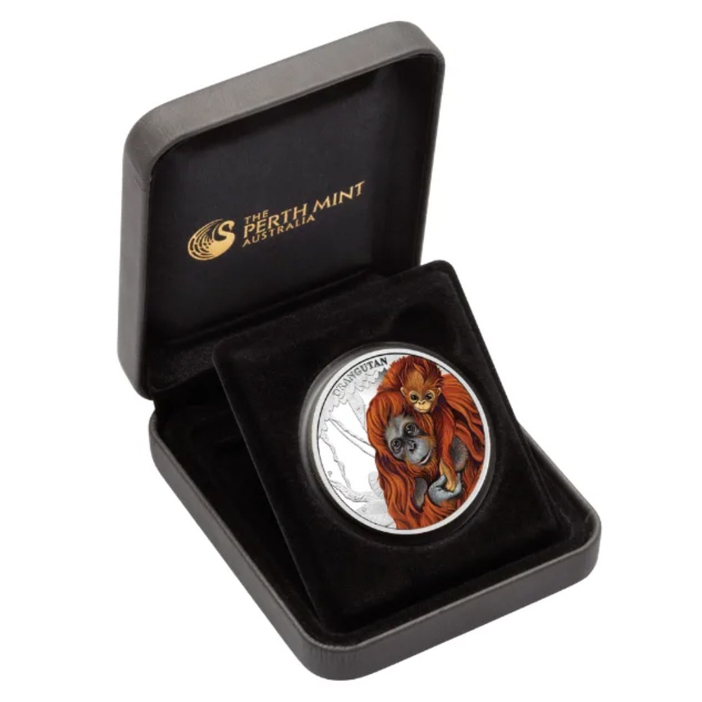 ������ 2014 �ĥХ� ���饦������ ���顼��� 1/2���� ����̤������ ��Ȣ��