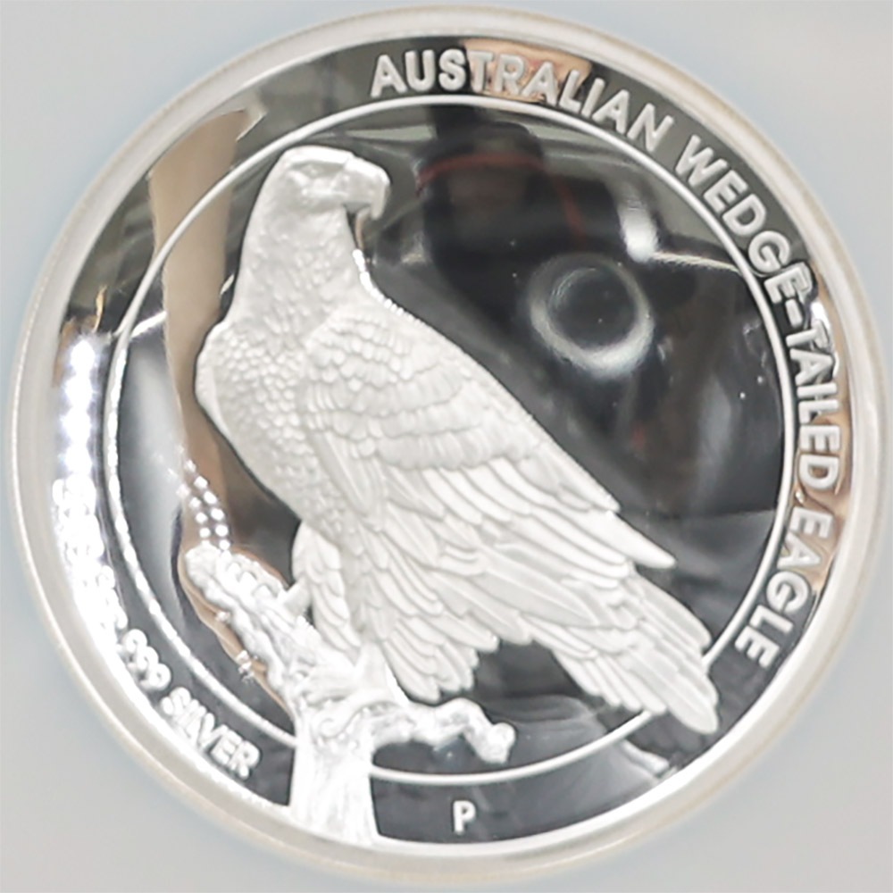 2016 �������ȥ�ꥢ �ϥ���꡼�� ���ʥ����̥亮 8��ɥ� ��� 5���� �ץ롼�� NGC PF 70 UC �ǹ���� ����̤������ �����å��ơ��륤������