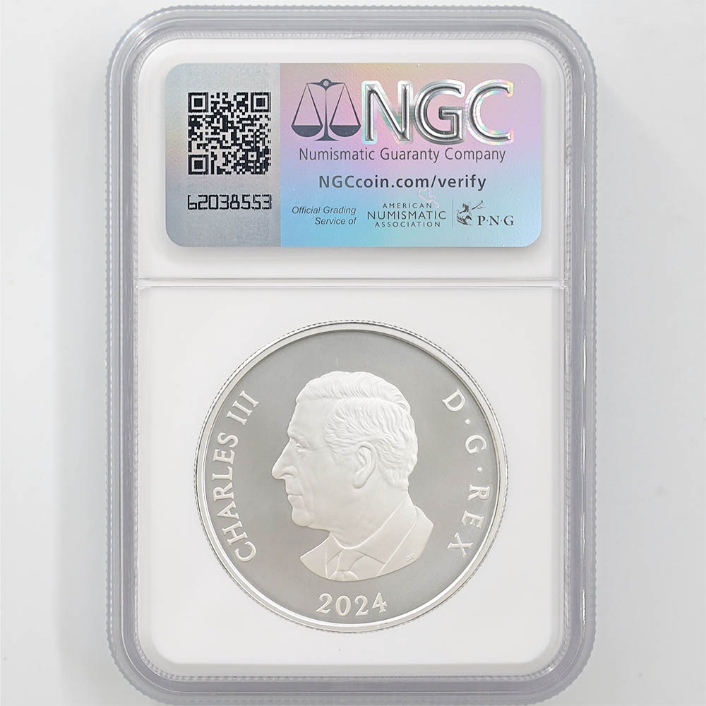 2024 ���ʥ� ���ե�����������ӥ꡼�����Ρ��ե졼�����֥����� 20���ʥ��ɥ� ��� ���顼���ȡ����� ���������å��ž夲 ��ä��ץ롼�� �ץ롼�եޥå� NGC PF 70 MATTE FR ������ �ǹ���� ����̤������ ��Ȣ��