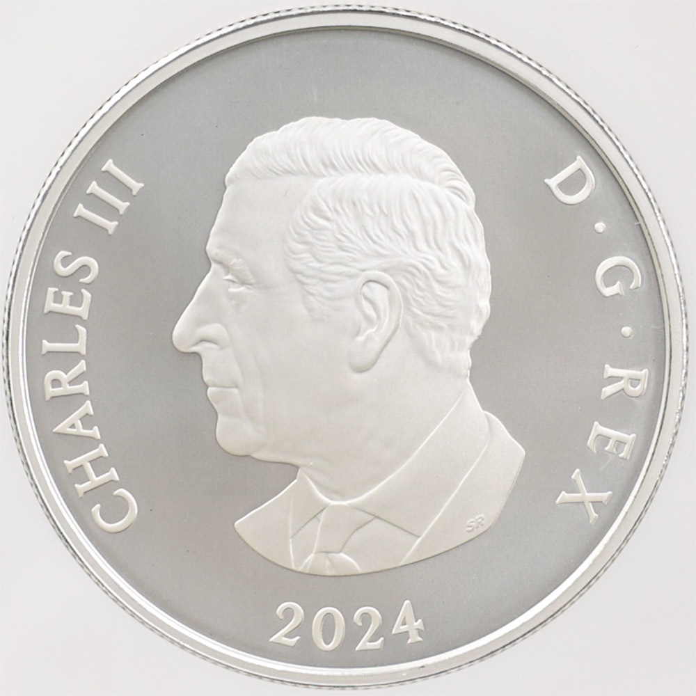 2024 ���ʥ� ���ե�����������ӥ꡼�����Ρ��ե졼�����֥����� 20���ʥ��ɥ� ��� ���顼���ȡ����� ���������å��ž夲 ��ä��ץ롼�� �ץ롼�եޥå� NGC PF 70 MATTE FR ������ �ǹ���� ����̤������ ��Ȣ��