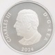 2024 ���ʥ� ���ե�����������ӥ꡼�����Ρ��ե졼�����֥����� 20���ʥ��ɥ� ��� ���顼���ȡ����� ���������å��ž夲 ��ä��ץ롼�� �ץ롼�եޥå� NGC PF 70 MATTE FR ������ �ǹ���� ����̤������ ��Ȣ��