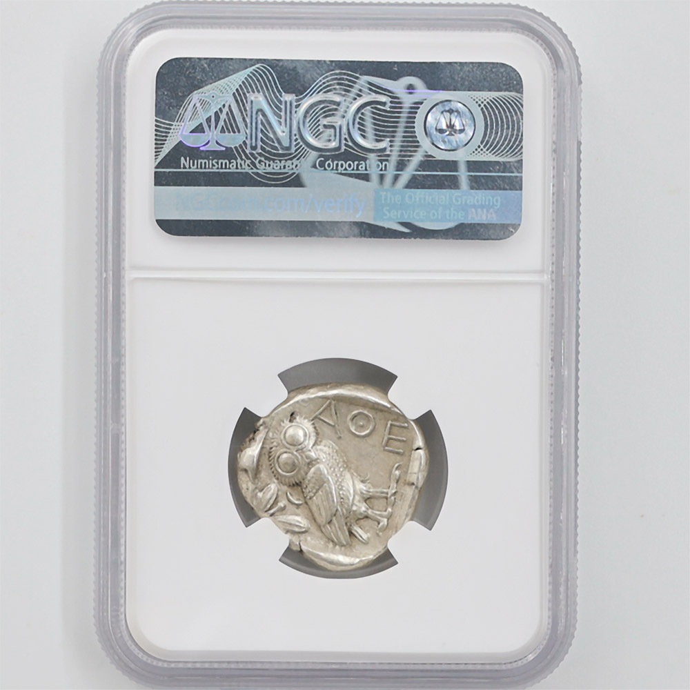  c.440-404ǯBC ATTICA ƥ ARƥȥɥ饯 女 NGC CH XF 5/5-5/5 ڥݥȡݥоݳ