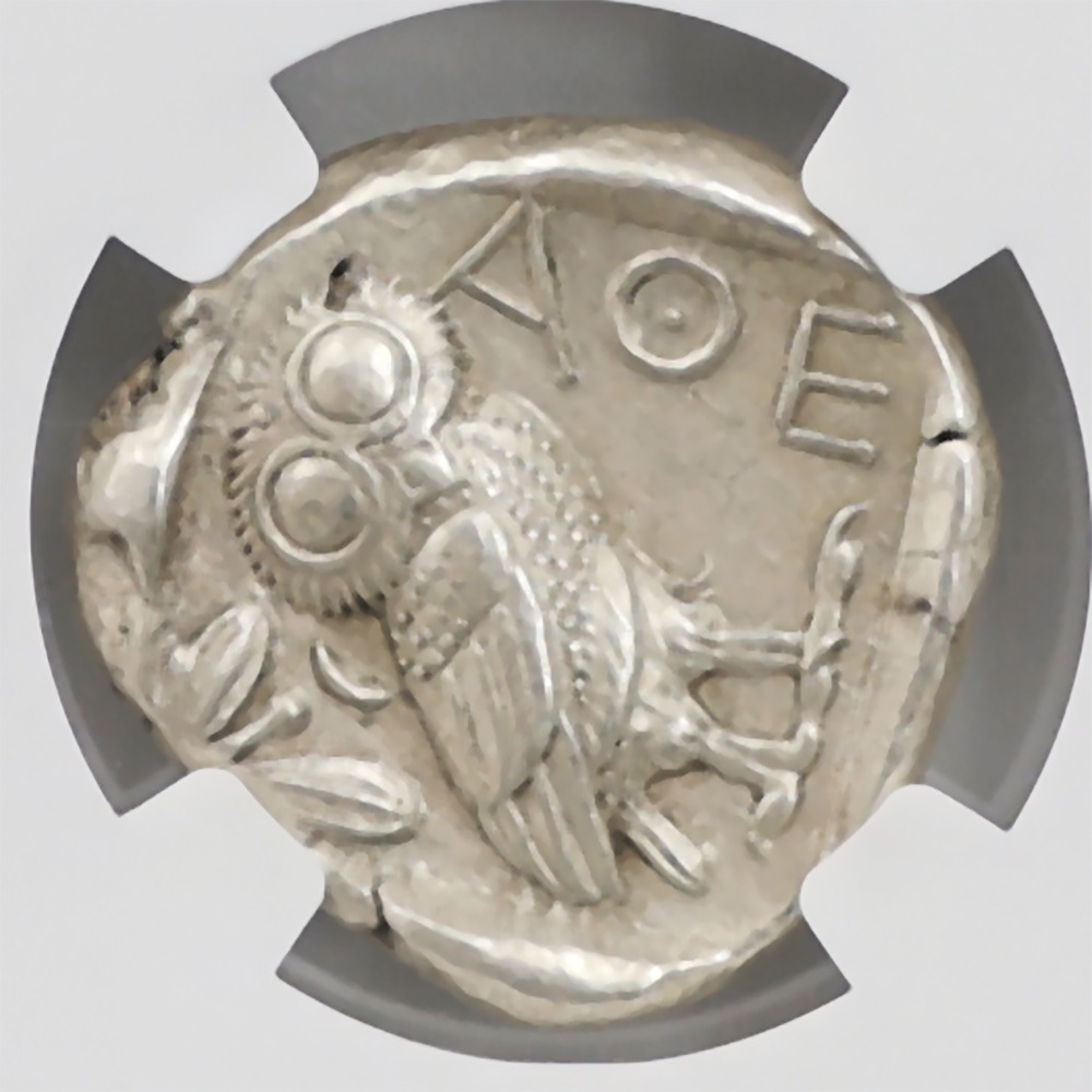  c.440-404ǯBC ATTICA ƥ ARƥȥɥ饯 女 NGC CH XF 5/5-5/5 ڥݥȡݥоݳ