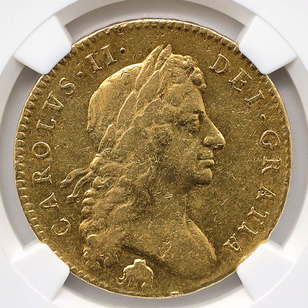 �������� 1682 �ѹ�ʥ����ꥹ�� ���㡼�륺2�� 5���ˡ� ��� NGC XF DETAILS �����ʡڥݥ���ȡ������ݥ������оݳ���