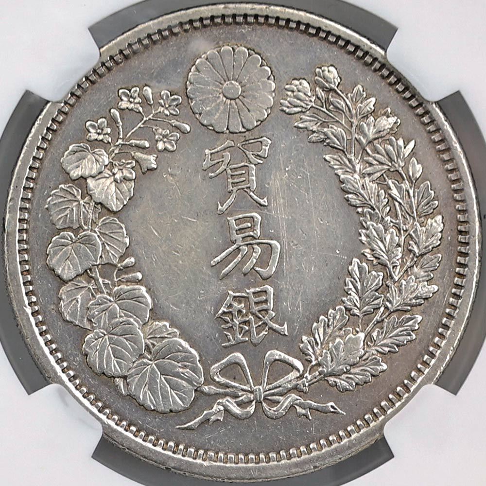  1875  8ǯ ǰ׶ NGC UNC DETAILS ̤ ڥݥȡݥоݳ