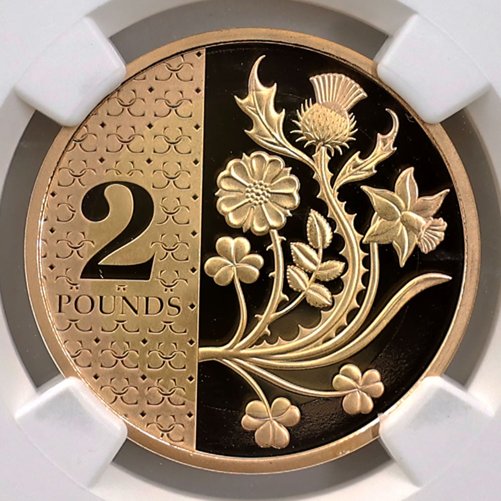  2023 ѹ 㡼륺3  2ݥ  ץ롼 NGC PF 69 UC ǹ ̤ Ȣ ꥹ  1Τ