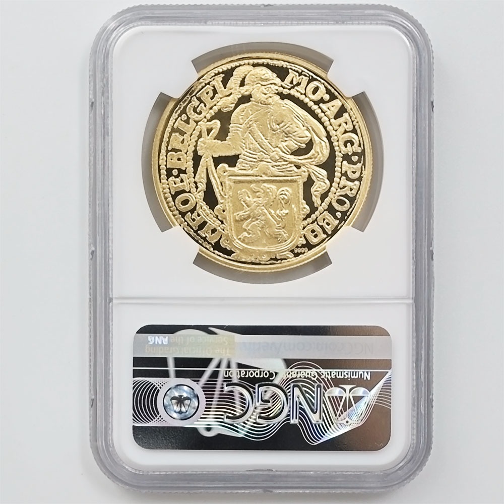  2019  饤顼 ꥹȥ饤  1 ץ롼 NGC PF 70 UC ER  ǹ ̤ʡڥݥȡݥоݳ