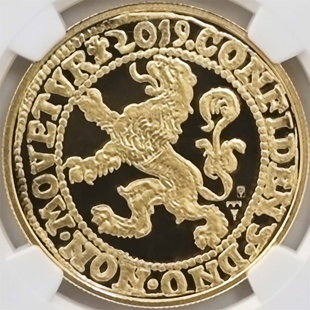  2019  饤顼 ꥹȥ饤  1 ץ롼 NGC PF 70 UC ER  ǹ ̤ʡڥݥȡݥоݳ