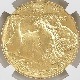 �������� 2013 ����ꥫ �Хåե����� 50�ɥ� ��� 1���� ̤���� NGC MS 70 �ǹ���� ����̤������ �ڥݥ���ȡ������ݥ������оݳ���