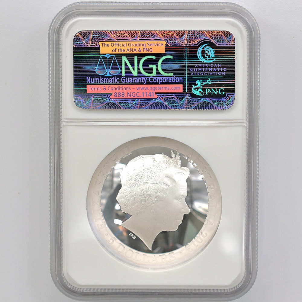 ������ 2013 �������ȥ�ꥢ ��ŷ��ŷ��� �����㤯�� �ɡ��෿ ��� 1���� �ץ롼��  NGC PF 70 UC �ǹ���� ����̤������