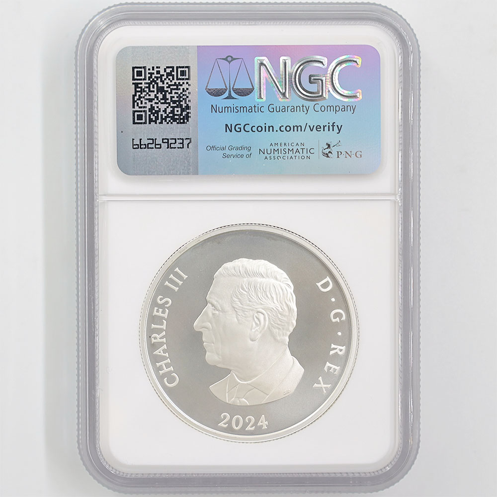 2024 ���ʥ� ���ե�����������ӥ꡼�����Ρ��ե졼�����֥����� 20���ʥ��ɥ� ��� ���顼���ȡ����� ���������å��ž夲 ��ä��ץ롼�� �ץ롼�եޥå� NGC PF 70 MATTE FR ������ �ǹ���� ����̤������ ��Ȣ��