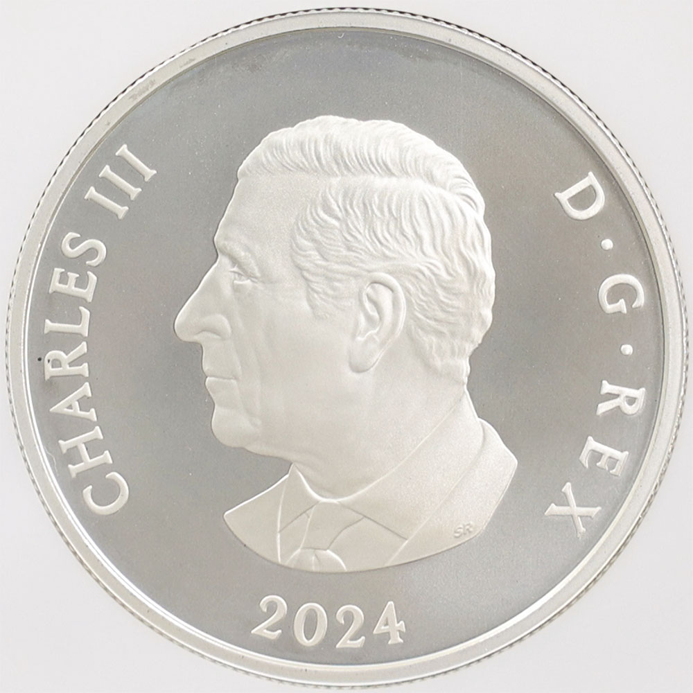 2024 ���ʥ� ���ե�����������ӥ꡼�����Ρ��ե졼�����֥����� 20���ʥ��ɥ� ��� ���顼���ȡ����� ���������å��ž夲 ��ä��ץ롼�� �ץ롼�եޥå� NGC PF 70 MATTE FR ������ �ǹ���� ����̤������ ��Ȣ��