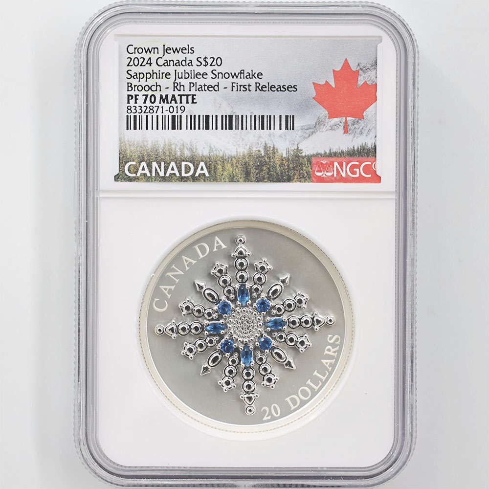 2024 ʥ եӥ꡼Ρե졼֥ 20ʥɥ  顼ȡ åž夲 äץ롼 ץ롼եޥå NGC PF 70 MATTE FR  ǹ ̤ Ȣ