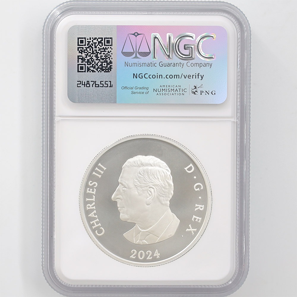 2024 ʥ եӥ꡼Ρե졼֥ 20ʥɥ  顼ȡ åž夲 äץ롼 ץ롼եޥå NGC PF 70 MATTE FR  ǹ ̤ Ȣ