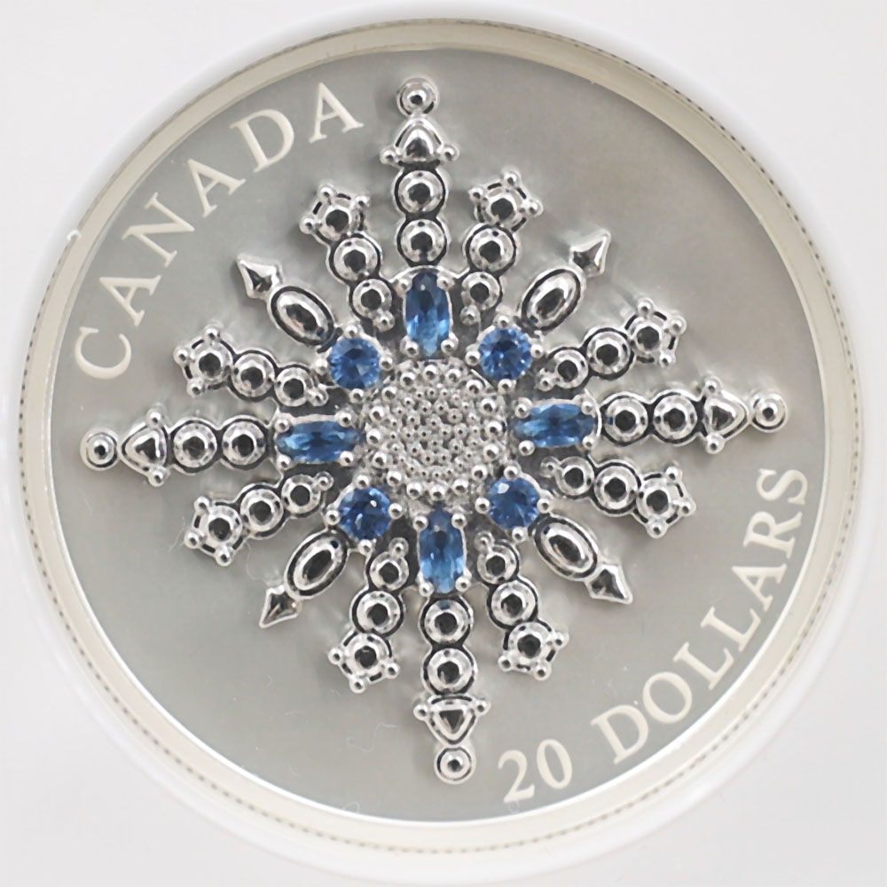 2024 ʥ եӥ꡼Ρե졼֥ 20ʥɥ  顼ȡ åž夲 äץ롼 ץ롼եޥå NGC PF 70 MATTE FR  ǹ ̤ Ȣ