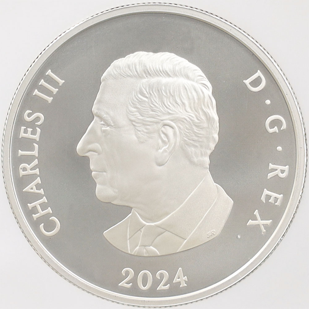 2024 ʥ եӥ꡼Ρե졼֥ 20ʥɥ  顼ȡ åž夲 äץ롼 ץ롼եޥå NGC PF 70 MATTE FR  ǹ ̤ Ȣ