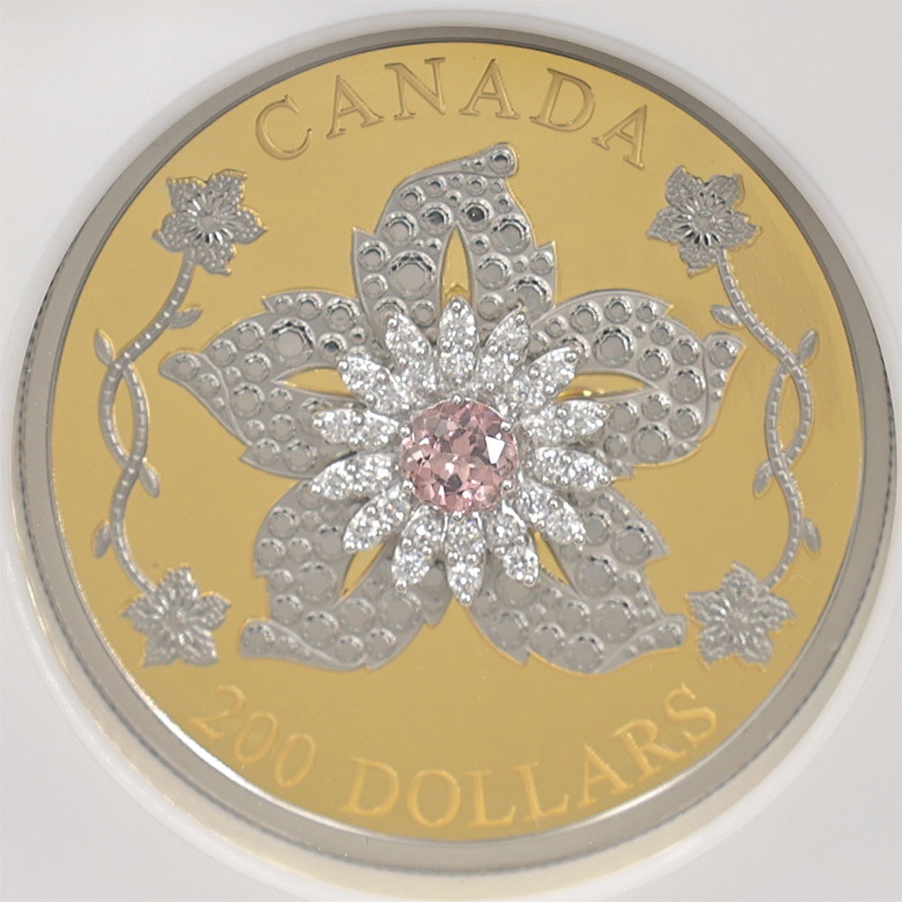 2025 ʥ ꥢॽ  ֥ 200ʥɥ  ץ롼 NGC PF 70 UC FODI  ʽ ǹ ̤ Ȣ